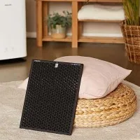 Philips Филтър NanoProtect Active Carbone FY3432/10
