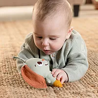 TINY LOVE Еко Играчка-дрънкалка за количка Заек Garden of Adventures 